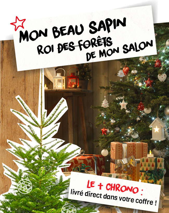 mon beau sapin