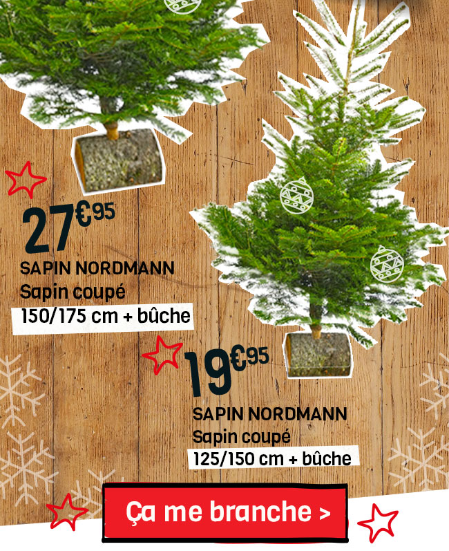 mon beau sapin